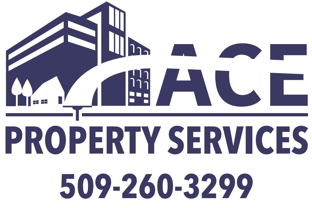 ace logo